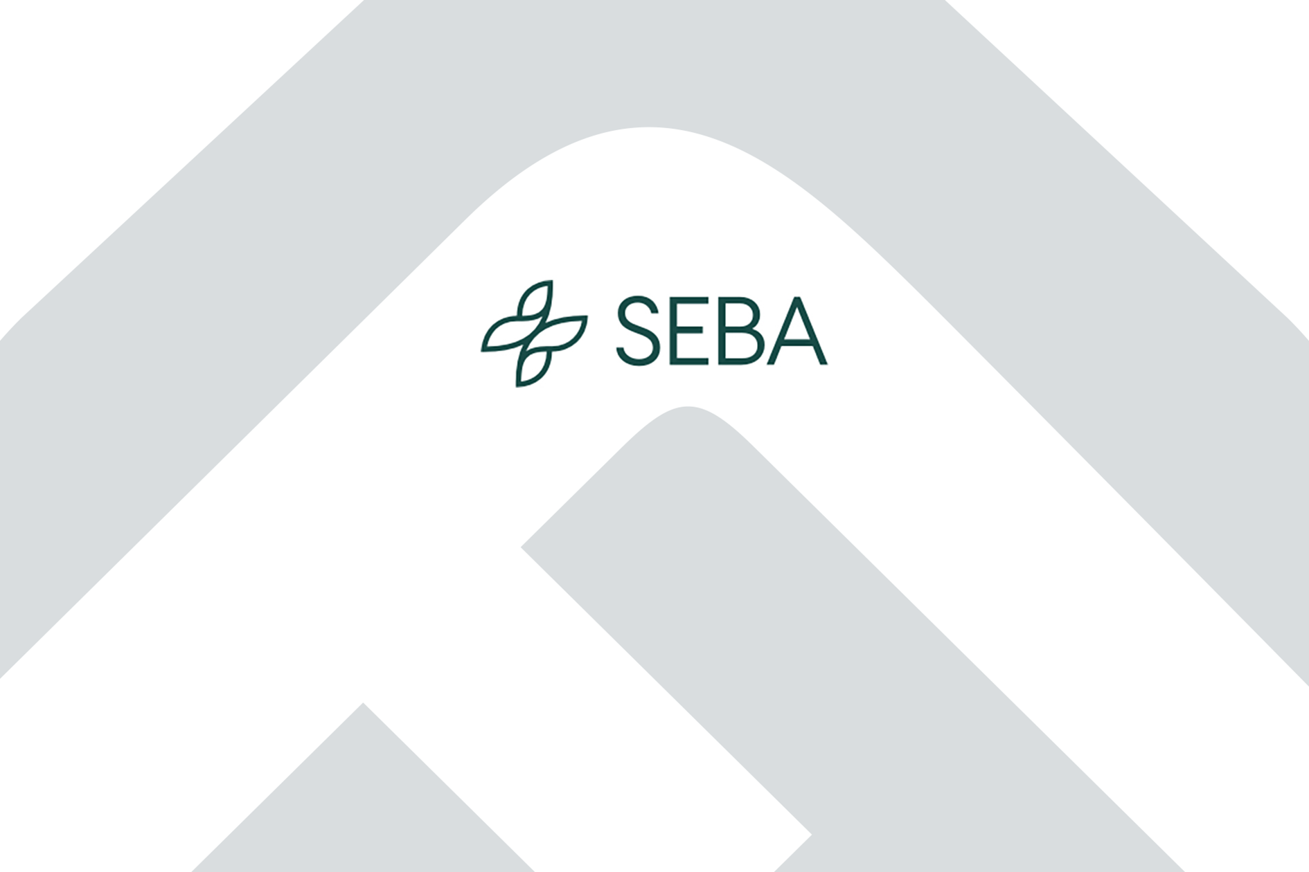 Seba Logo Green 2X