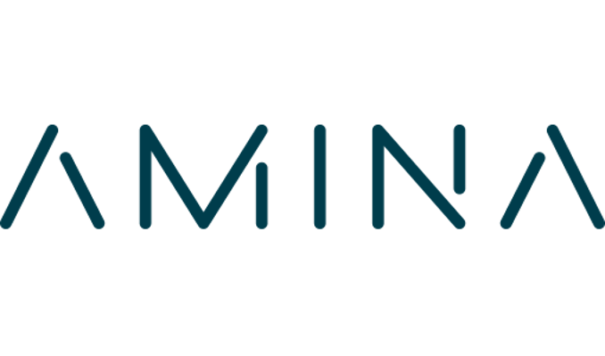 Amina Amina